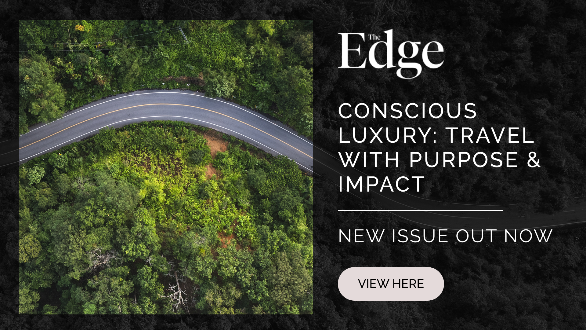 the edge email banner-4